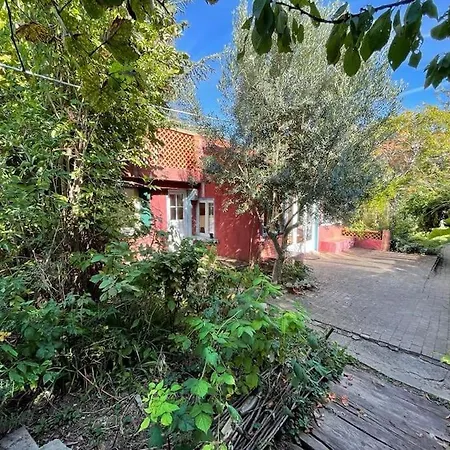 Charmante Maison Dans Jardin, Calme, 55M2- 2Ch, Metro, Tres Proche Paris Vitry-sur-Seine Exterior foto